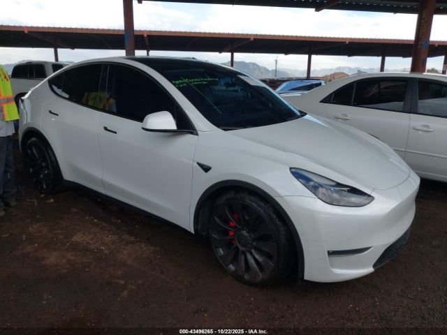 2022 TESLA MODEL Y 7SAYGDEF1NF409901