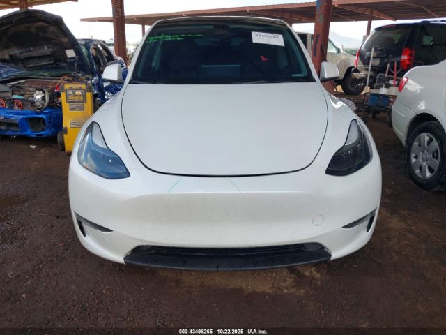 2022 TESLA MODEL Y 7SAYGDEF1NF409901 Photo 5