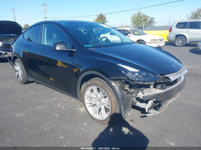 2024 TESLA MODEL Y 7SAYGDEE3RF983817