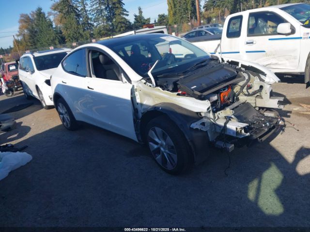 2023 TESLA MODEL Y 7SAYGDEE2PA145837 Photo 0