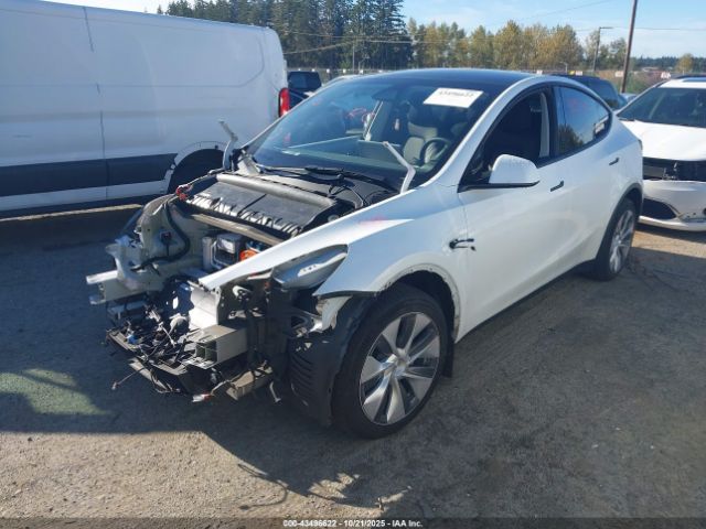 2023 TESLA MODEL Y 7SAYGDEE2PA145837 Photo 1