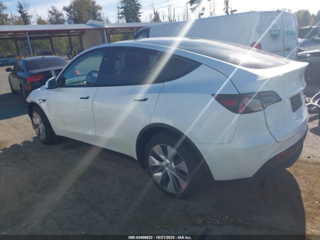 2023 TESLA MODEL Y 7SAYGDEE2PA145837 Photo 2