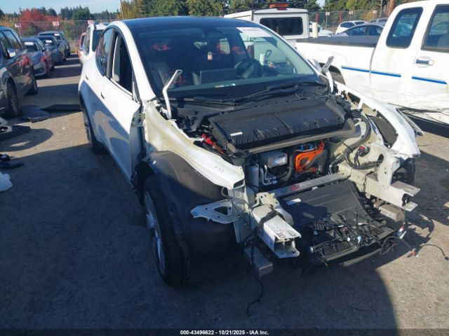 2023 TESLA MODEL Y 7SAYGDEE2PA145837 Photo 5