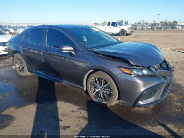 2023 TOYOTA CAMRY 4T1T11AK3PU812777