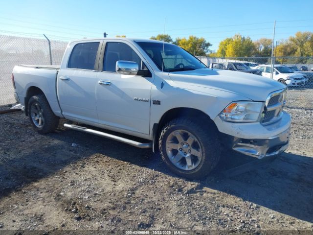 2009 DODGE RAM 1500 1D3HV13T79S740069