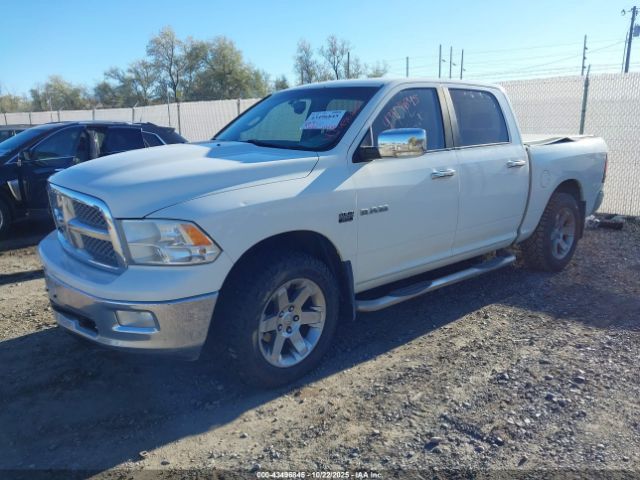 2009 DODGE RAM 1500 1D3HV13T79S740069 Photo 1