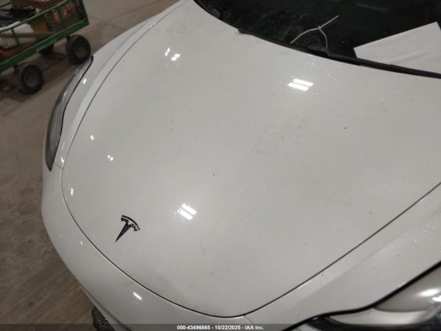 2020 TESLA MODEL 3 5YJ3E1EA4LF703693 Photo 9
