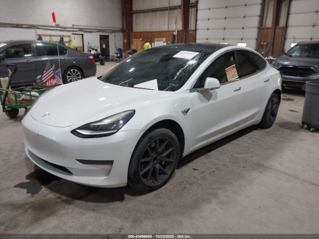 2020 TESLA MODEL 3 5YJ3E1EA4LF703693 Photo 1