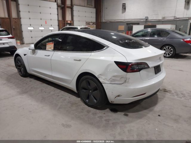 2020 TESLA MODEL 3 5YJ3E1EA4LF703693 Photo 2