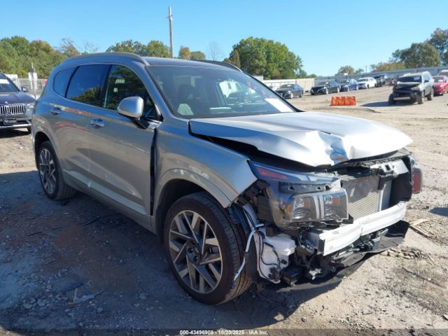 2023 HYUNDAI SANTA FE 5NMS5DAL4PH647442