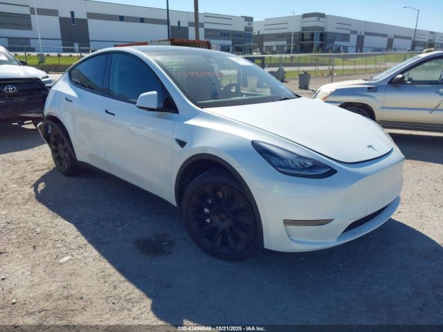 2023 TESLA MODEL Y 7SAYGDEE3PA094297 Photo 0