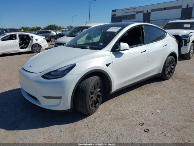 2023 TESLA MODEL Y 7SAYGDEE3PA094297 Photo 1