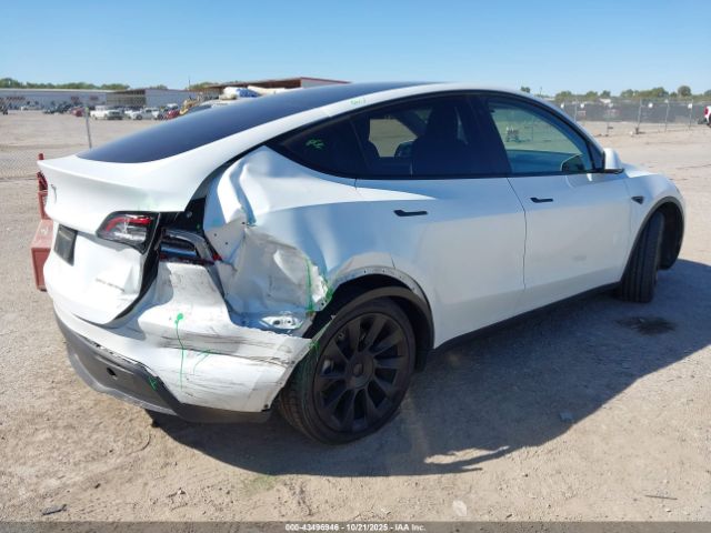2023 TESLA MODEL Y 7SAYGDEE3PA094297 Photo 3