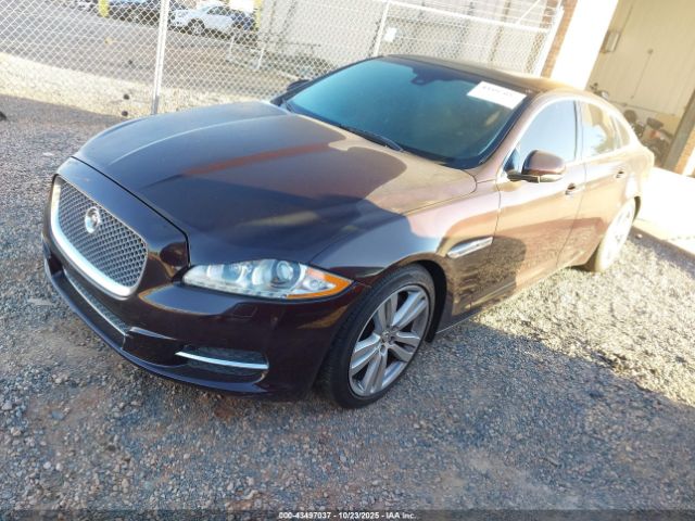 2011 JAGUAR XJ SAJWA1CB6BLV07207 Photo 1