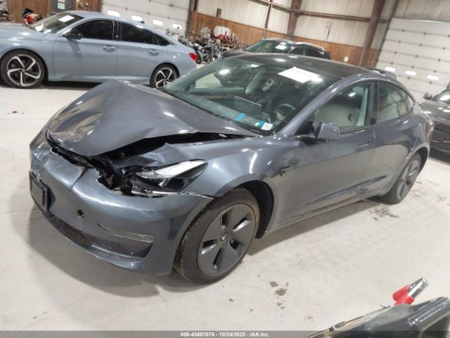 2023 TESLA MODEL 3 5YJ3E1EA0PF627556 Photo 1