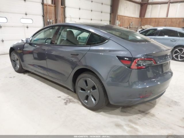 2023 TESLA MODEL 3 5YJ3E1EA0PF627556 Photo 2