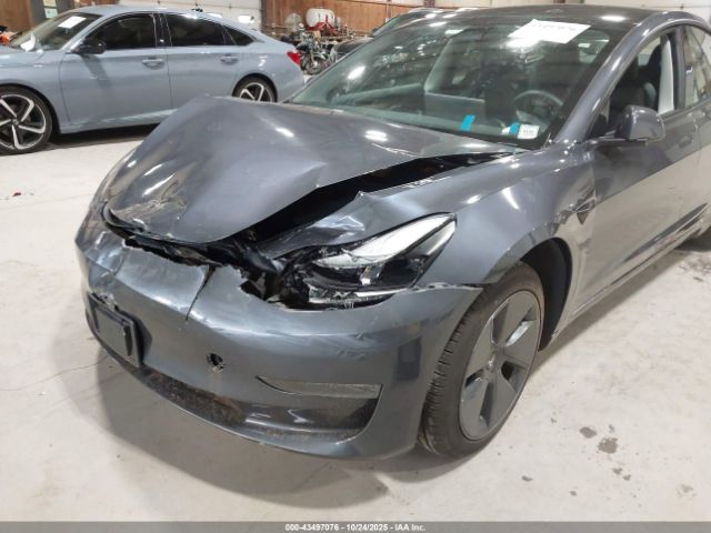 2023 TESLA MODEL 3 5YJ3E1EA0PF627556 Photo 5