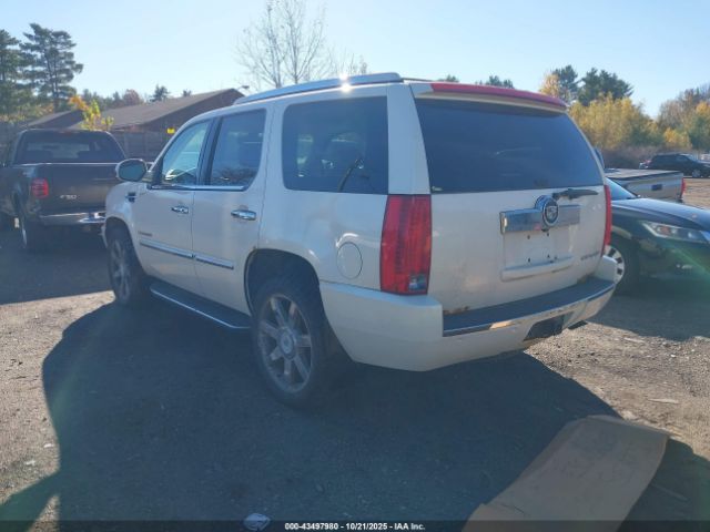 2008 CADILLAC ESCALADE 1GYFK63878R131209 Photo 2