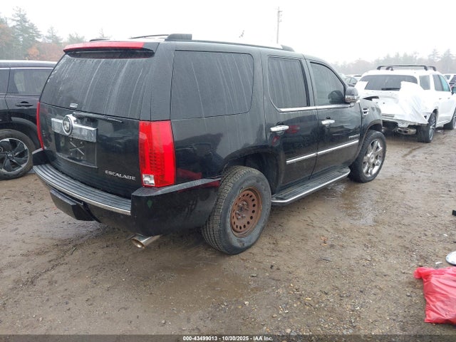 2009 CADILLAC ESCALADE 1GYFK23259R174839 Photo 3