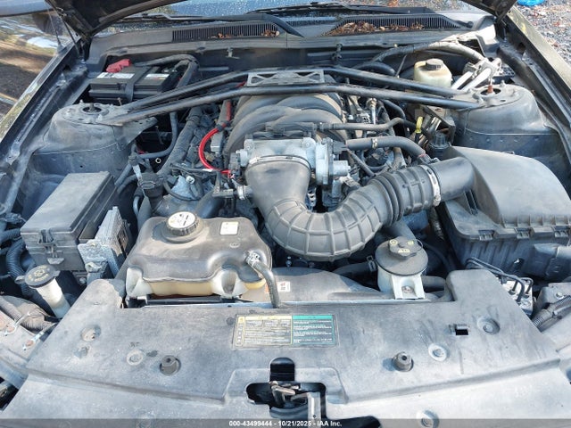 2006 Ford Mustang Gt მანქანა იყიდება აუქციონზე, vin: 1ZVFT82H465241653, აუქციონის ნომერი: 43499444