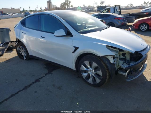 2021 TESLA MODEL Y 5YJYGDEE9MF094414 Photo 0