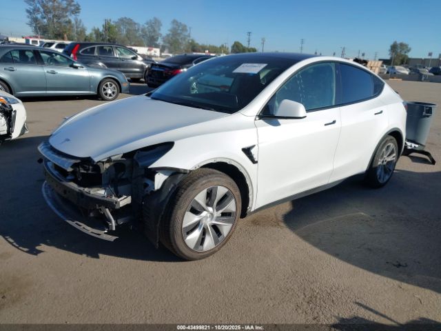 2021 TESLA MODEL Y 5YJYGDEE9MF094414 Photo 1