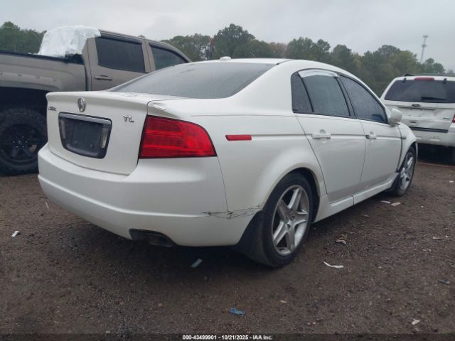 2006 ACURA TL 19UUA66236A067187 Photo 3