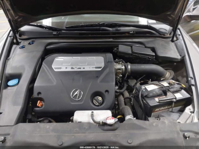 2008 ACURA TL 19UUA66298A030406 Photo 9