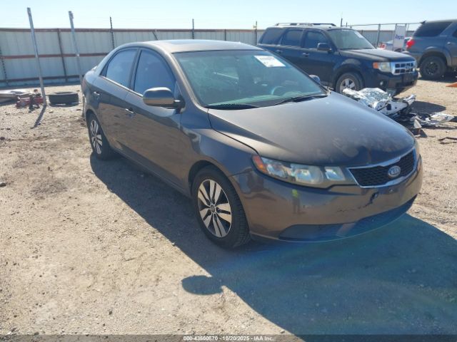 2013 KIA FORTE KNAFU4A2XD5668643