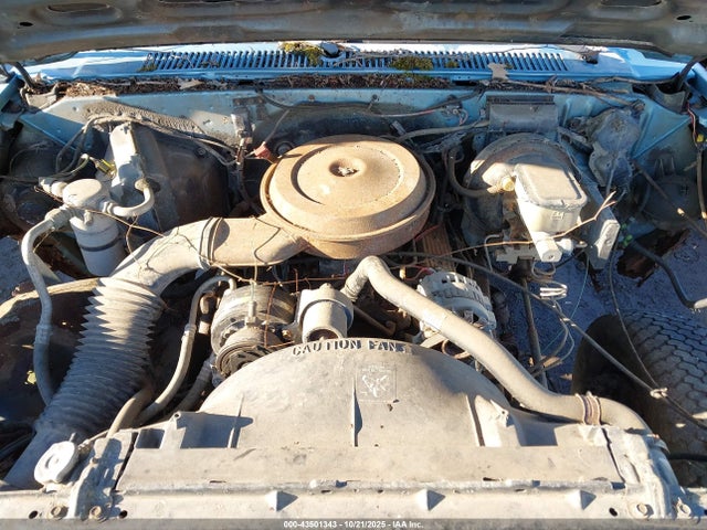 1991 CHEVROLET SUBURBAN 1GNEV16K2MF131141 Photo 9