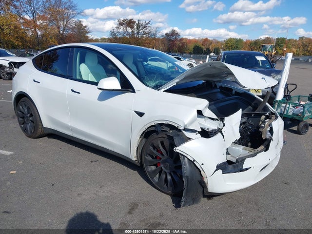 2022 TESLA MODEL Y 7SAYGDEF9NF382723 Photo 0