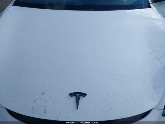 2023 TESLA MODEL 3 5YJ3E1EA9PF582875 Photo 9