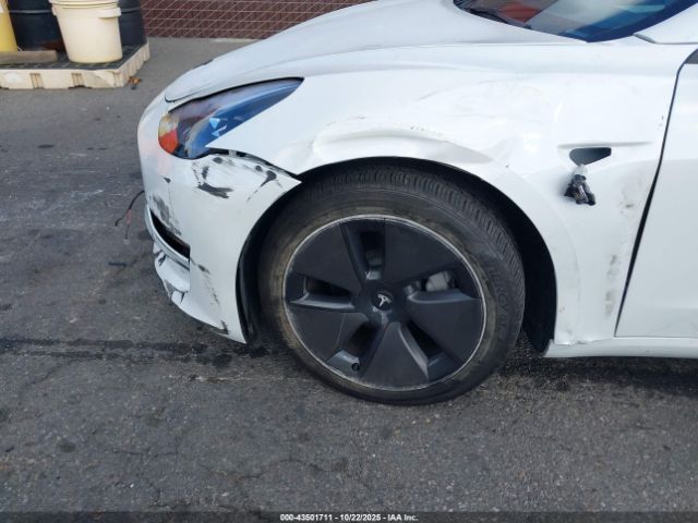 2023 TESLA MODEL 3 5YJ3E1EA9PF582875 Photo 5