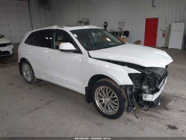 2010 AUDI Q5 WA1LKAFP1AA104830