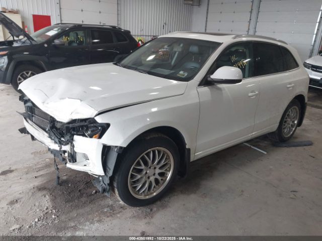 2010 AUDI Q5 WA1LKAFP1AA104830 Photo 1