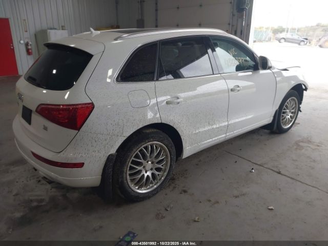 2010 AUDI Q5 WA1LKAFP1AA104830 Photo 3