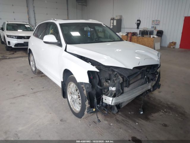2010 AUDI Q5 WA1LKAFP1AA104830 Photo 5