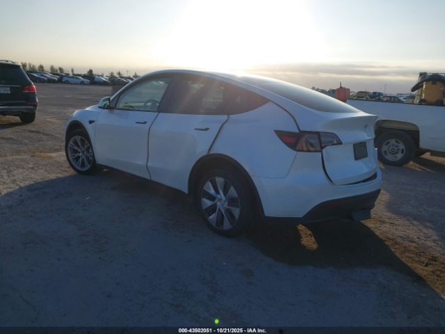 2024 TESLA MODEL Y 7SAYGDEE9RA289890 Photo 2