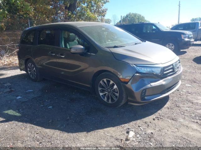 2022 HONDA ODYSSEY 5FNRL6H79NB052237