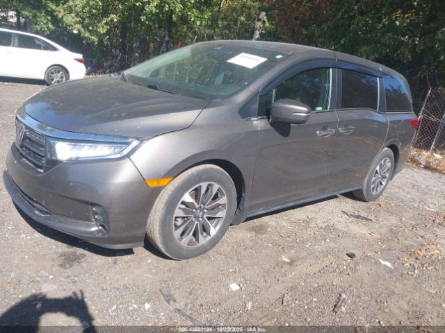 2022 HONDA ODYSSEY 5FNRL6H79NB052237 Photo 1