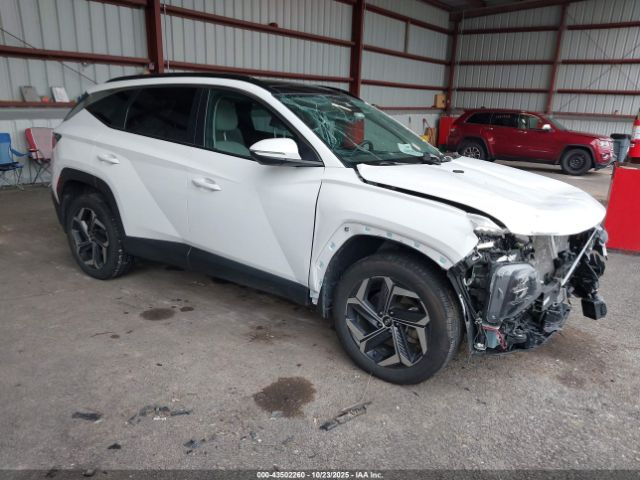 2023 HYUNDAI TUCSON HYBRID KM8JFCA19PU099329