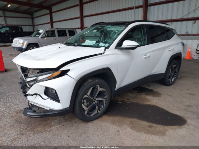 2023 HYUNDAI TUCSON HYBRID KM8JFCA19PU099329 Photo 1