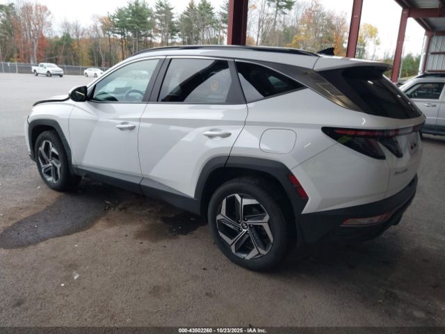 2023 HYUNDAI TUCSON HYBRID KM8JFCA19PU099329 Photo 2