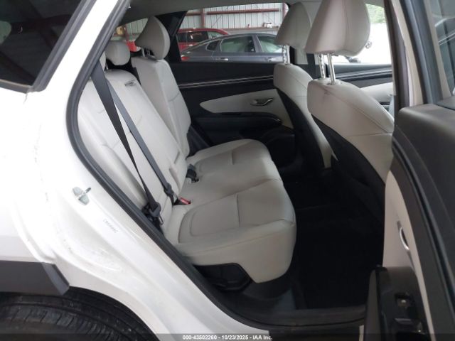 2023 HYUNDAI TUCSON HYBRID KM8JFCA19PU099329 Photo 7
