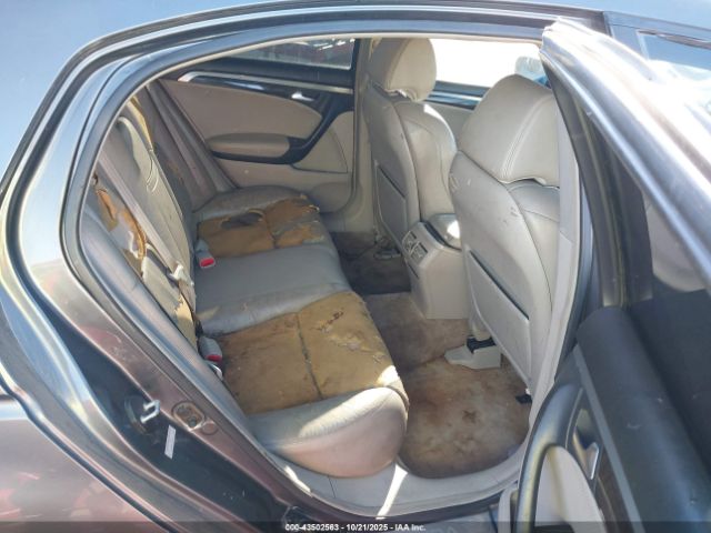 2008 ACURA TL 19UUA66228A042901 Photo 7