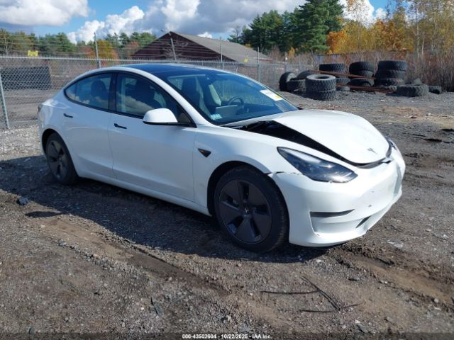 2023 TESLA MODEL 3 5YJ3E1EB6PF390709 Photo 0