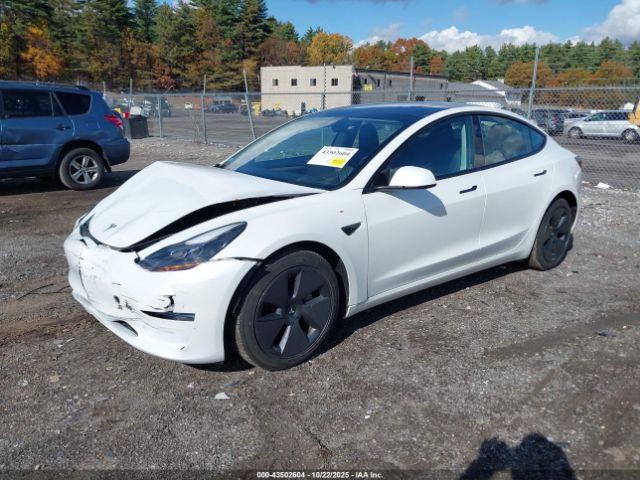 2023 TESLA MODEL 3 5YJ3E1EB6PF390709 Photo 1