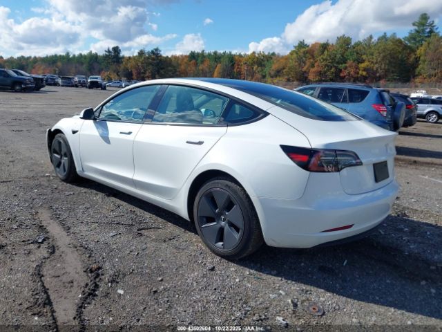 2023 TESLA MODEL 3 5YJ3E1EB6PF390709 Photo 2