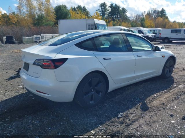2023 TESLA MODEL 3 5YJ3E1EB6PF390709 Photo 3
