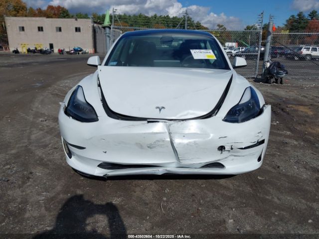 2023 TESLA MODEL 3 5YJ3E1EB6PF390709 Photo 5